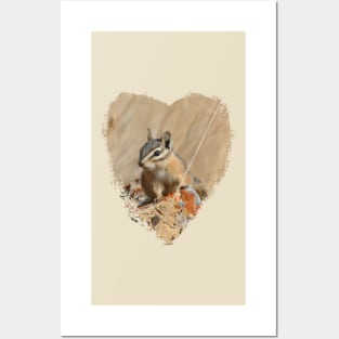 Chipmunk on the Rocks Posters and Art